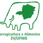 João Carlos de Freitas Alves