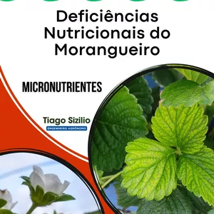 Imagem de capa para o Ebook Guia - Identificação de Deficiências Nutricionais de Micronutrientes no Morangueiro