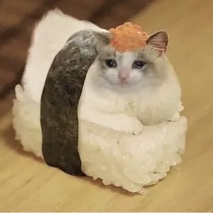 Imagen de portada para Curso online Free Fire 3