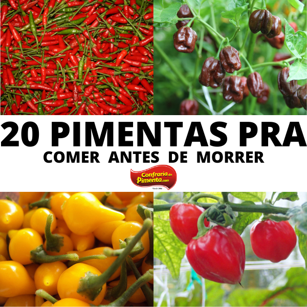 Imagem do curso 20 PIMENTAS PRA COMER ANTES DE MORRER