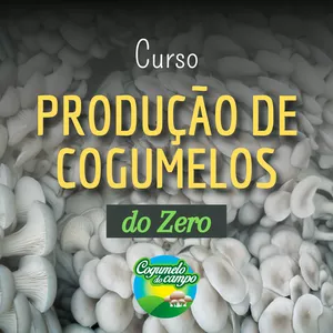 Produção de Cogumelos do Zero