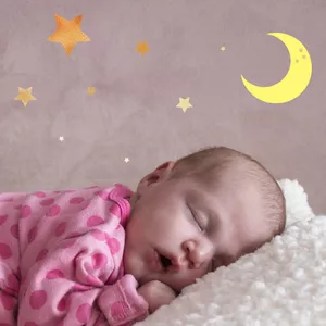 Imagem de capa para o Ebook O sono do bebê