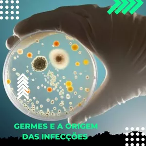 Imagem de capa para o Ebook OS GERMES E A ORIGEM DAS INFECÇÕES.