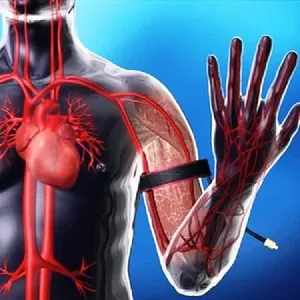 Imagem de capa para o Curso online Curso Online de Prescrição de Exercícios com Oclusão Vascular Parcial