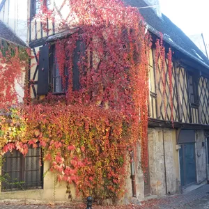 Imagem de capa para o Curso online Francês para viajantes