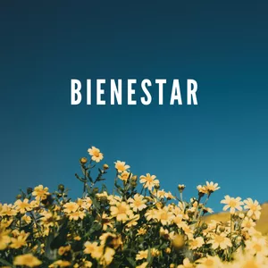 Imagen de portada para Curso online Bienestar