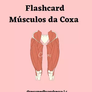 Imagem de capa para o Ebook Flashcard Músculos da Coxa 
