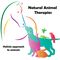 Holistic Equine Courses