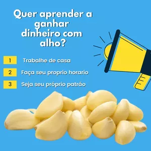 Imagem do curso  FATURANDO COM  "ALHO" !!!