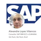 Foto do autor Alexandre Lopes Vibancos