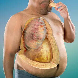 Imagem do curso Transformação Corporal: Exercícios Eficazes para Redução do Tecido Adiposo Visceral