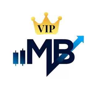 Imagen de portada para Curso online Miembros VIP MB Safe Investments