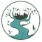 Enchanted Forest 's Academy 