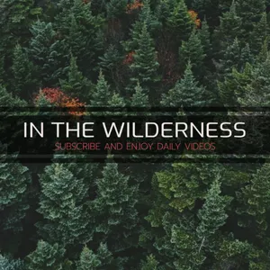 Cover image for Online course SCRIPT FOR FOREX TRADING