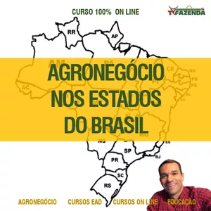 Curso INVESTIDOR DE TERRAS: O GUIA LOGÍSTICO E PRODUTIVO DOS ESTADOS DO BRASIL
