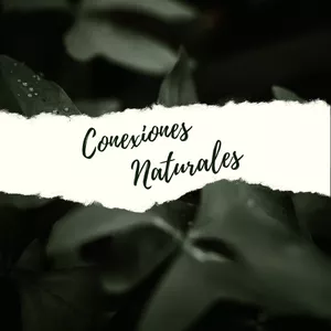 Imagen de portada para Ebook Ebook Conexiones Naturales (Guía básica para el cuidado de plantas)