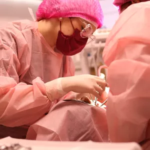 Imagem de capa para o Curso online Curso de Cirurgia Oral Menor