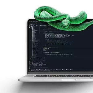 Imagem do curso Robotização de Processos com Python e STP