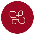 Thamires Zeller de Carvalho