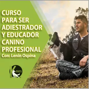 Curso Adiestrador y Educador Canino Profesional en Hotmart