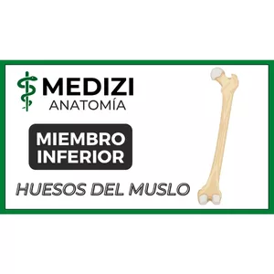 Imagen de portada para Ebook Anatomía de Miembro Inferior (MMII) - Fémur y Rótula