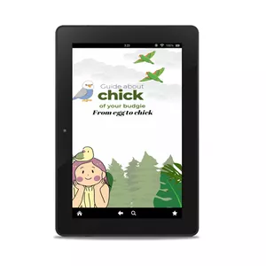 Cover image for Ebook Guide about chick  of your budgie (Guide simple of cares for kids)