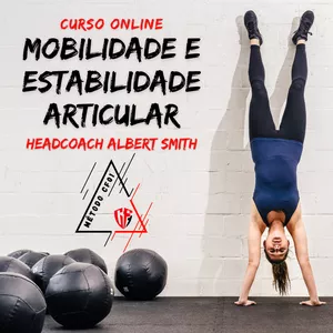 Imagem de capa para o Curso online Mobilidade e Estabilidade Articular
