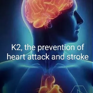 Cover image for Ebook K2  Everything you need to know 