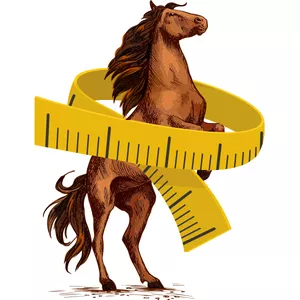 Imagen de portada para Curso online El Truco Del Caballo