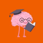 Estudo & Investimento