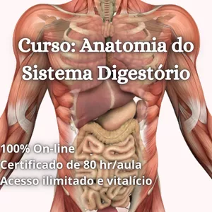 Imagem do curso Curso de anatomia e fisiologia do sistema digestório