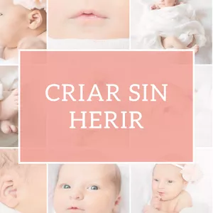 Imagen de portada para Ebook Criar sin Herir