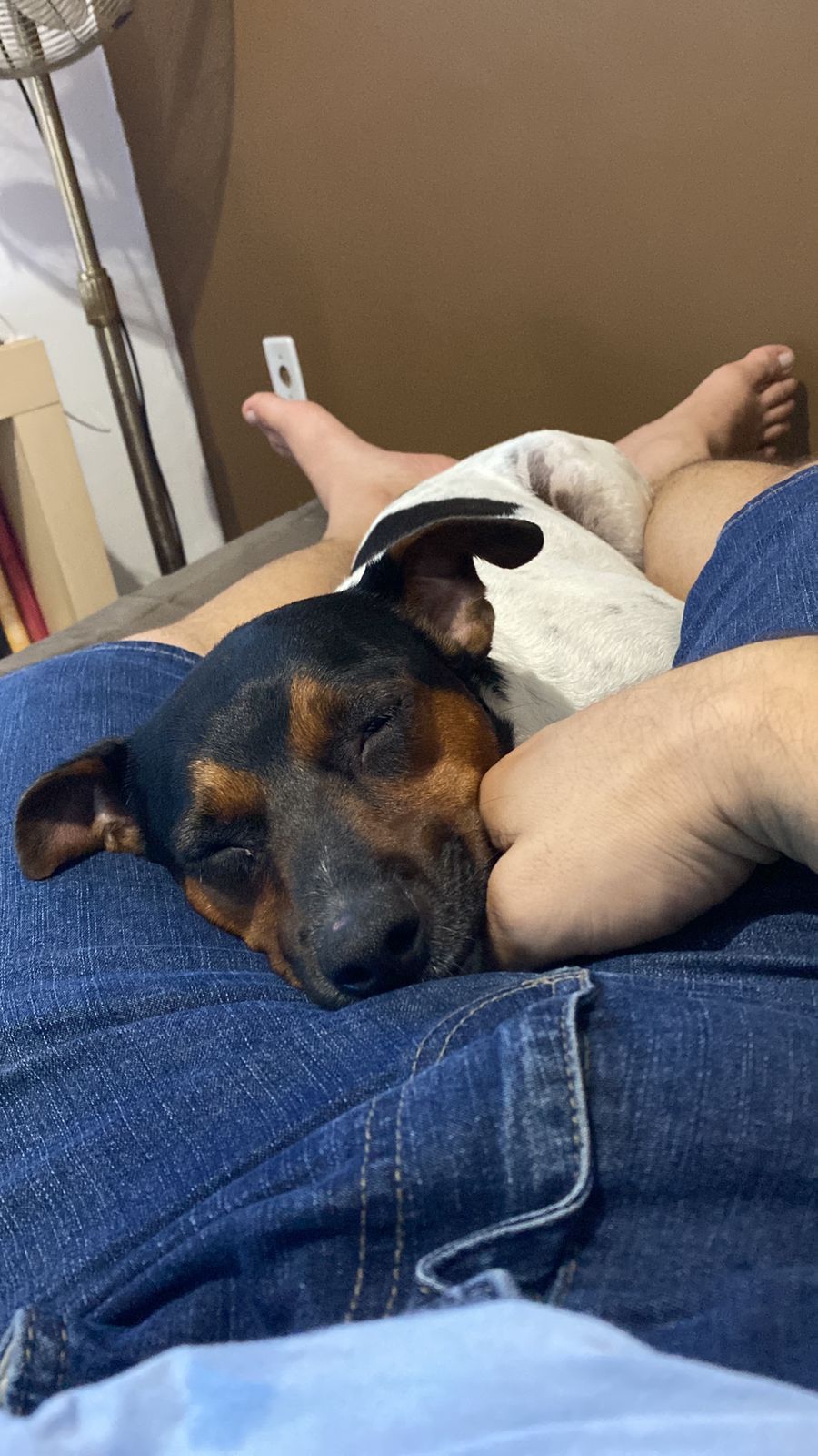 Joao
