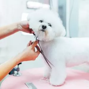 Imagem de capa para o Ebook JÁ PENSOU EM GANHAR 30 MIL  MENSAIS DE DENTRO DA SUA CASA ?