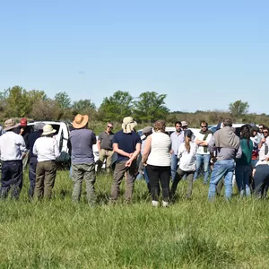 Imagen de portada para Curso online Grupo Privado de Ganaderos Regenerativos