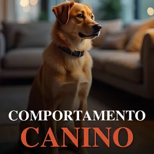 Imagem do curso Meu Cão, Meu Orgulho: Guia Completo de Adestramento em Casa