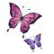 Wisdom Within Counseling and Coaching