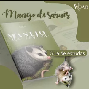 Imagem de capa para o Ebook Guia Saruê