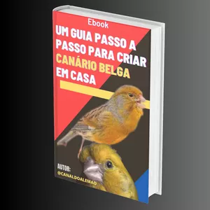 Imagem de capa para o Ebook GUIA PASSO A PASSO DE COMO CRIAR CANÁRIO BELGA