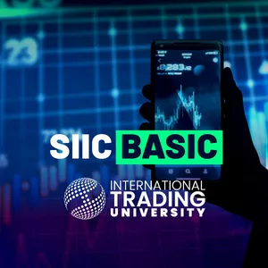 Imagen de portada para Curso online SIIC BASIC
