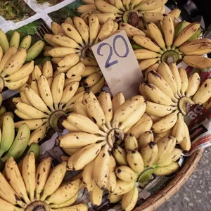 Imagen de portada para Ebook Miguel