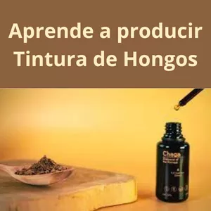Imagen de portada para Curso online Aprende a producir Tintura de Hongos