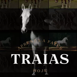 Curso Shekinah traias para burros e cavalos. 