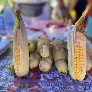 Imagen de portada para Curso online Bollos de maiz
