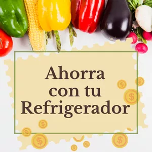 Imagen de portada para Curso online Ahorra con tu Refrigerador
