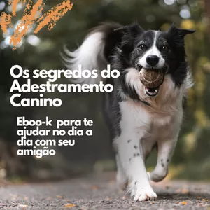 Imagem de capa para o Ebook Os segredos do Adestramento Canino