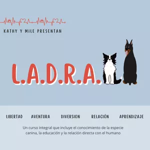 Imagen de portada para Curso online L.A.D.R.A.