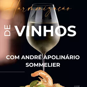 Imagem de capa para o Ebook Harmonização de Vinhos com André Apolinário sommelier 