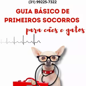 Imagem de capa para o Ebook Guia básico de primeiros socorros para cães e gatos