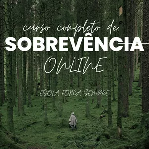 Imagem de capa para o Curso online Curso de Sobrevivência Militar